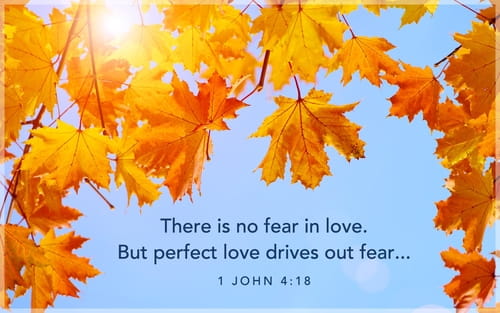 1 John 4:18 - Perfect Love ECard - Free Autumn Cards Online