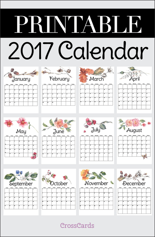 free-printable-2017-calendar-printable-download-free