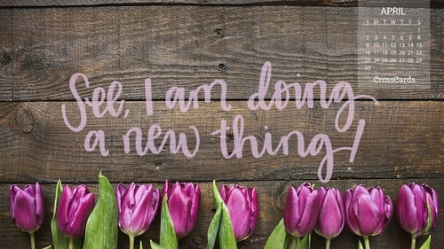 april 2017 desktop wallpaper april 2017 desktop wallpaper