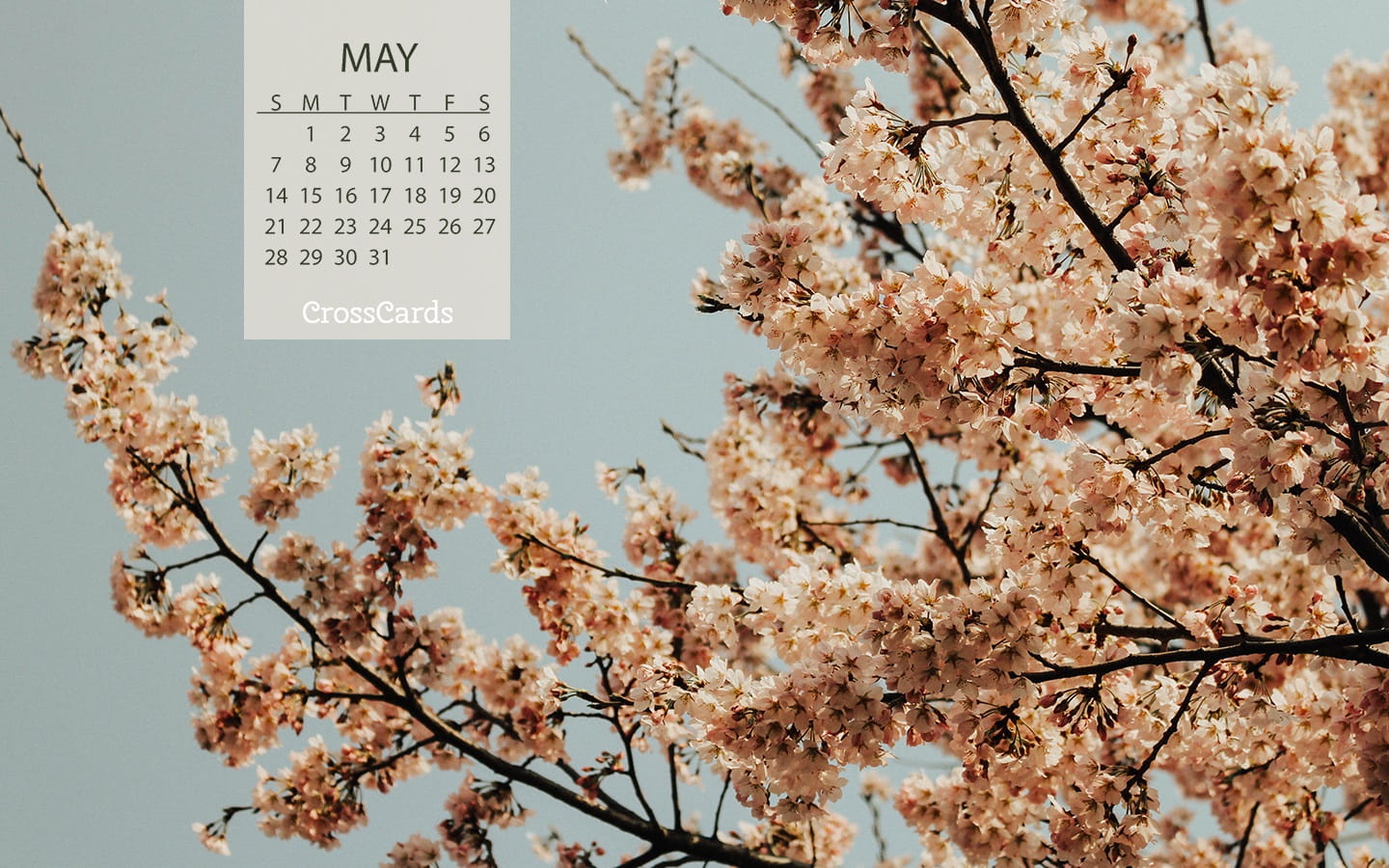 2017 desktop wallpaper calendars