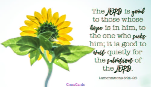 Lamentations 3:25 - The LORD is good to those whose hope is in him,...