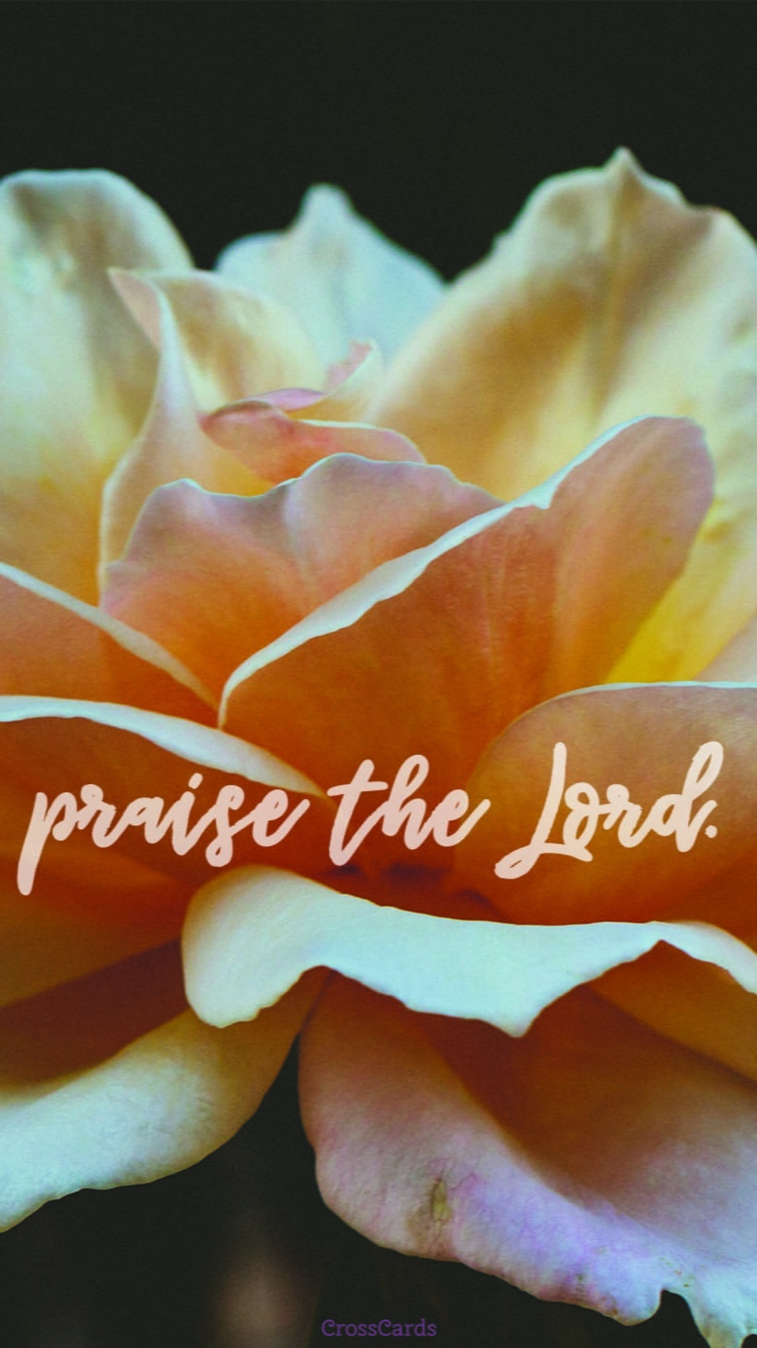 Praise the Lord mobile phone wallpaper
