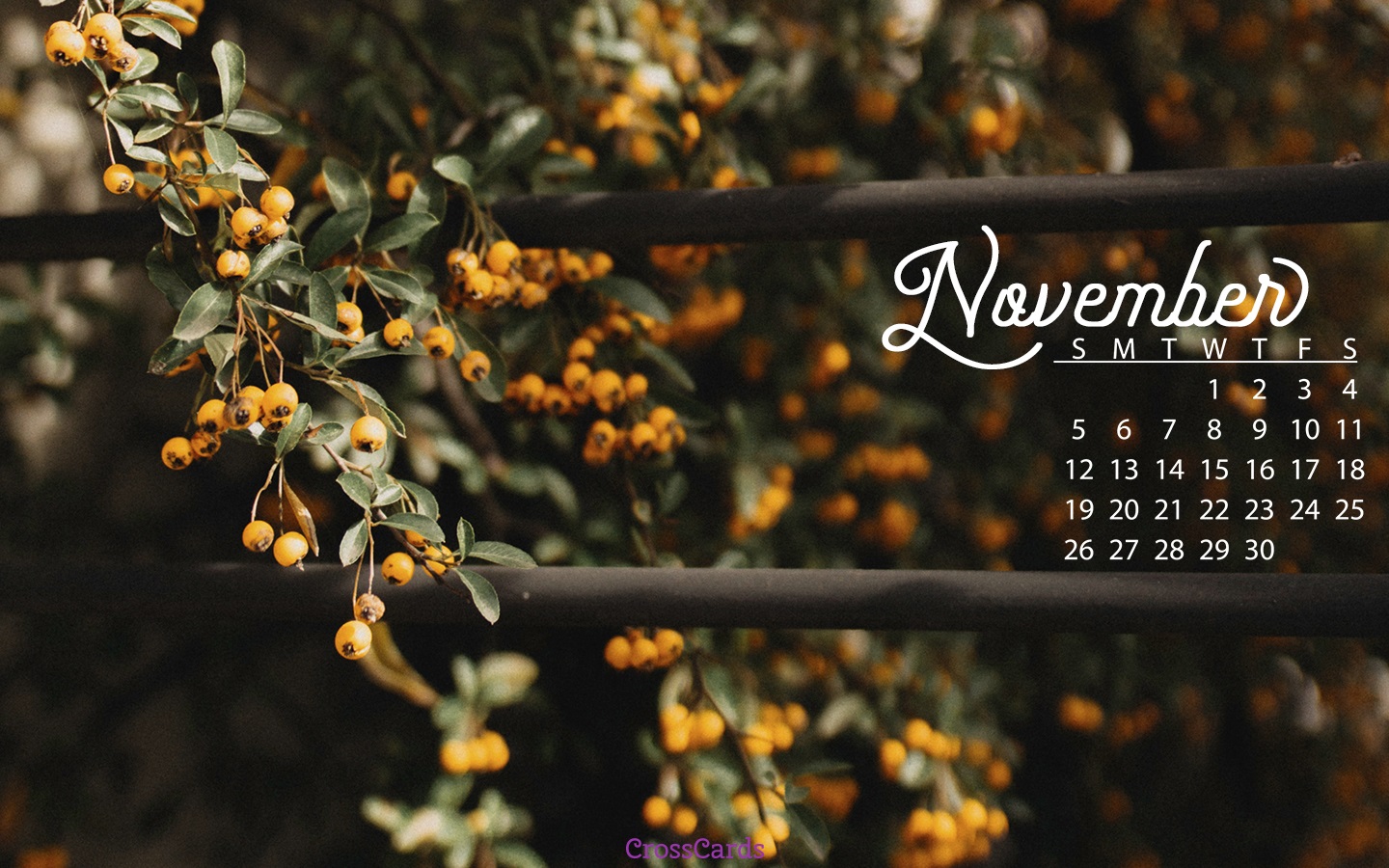 November 2017 Fall Berries Desktop Calendar Free November Wallpaper
