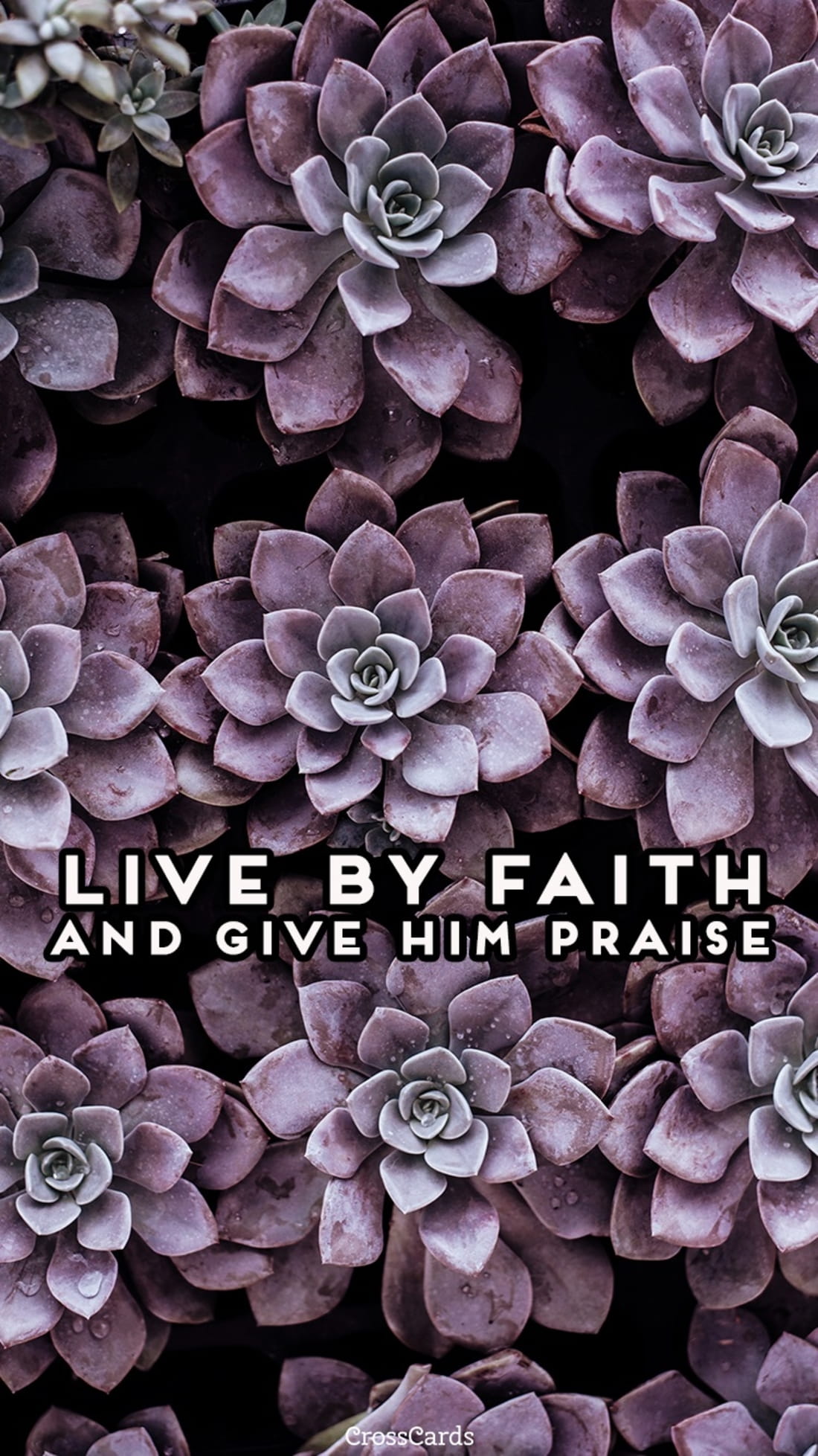 Live By Faith mobile phone wallpaper