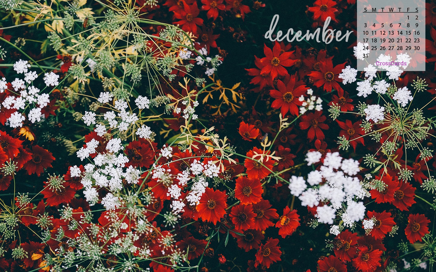 December 2017 - Winter Flowers Desktop Calendar- Free December Wallpaper
