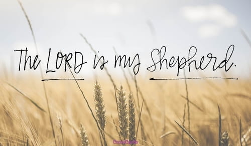 Psalm 23 Niv Bible The Lord Is My Shepherd I Lack
