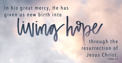 In his great mercy, he has given us new birth into a living hope through the resurrection of Jesus Christ | Daily Bible Readings