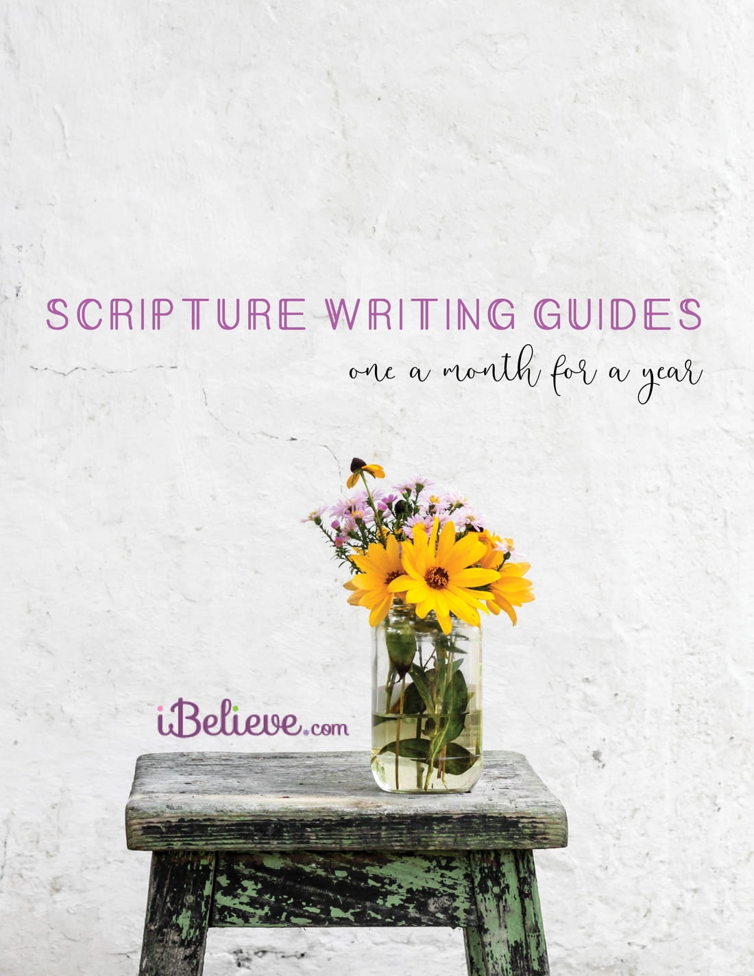 Scripture Writing Guides - One a Month for a Year