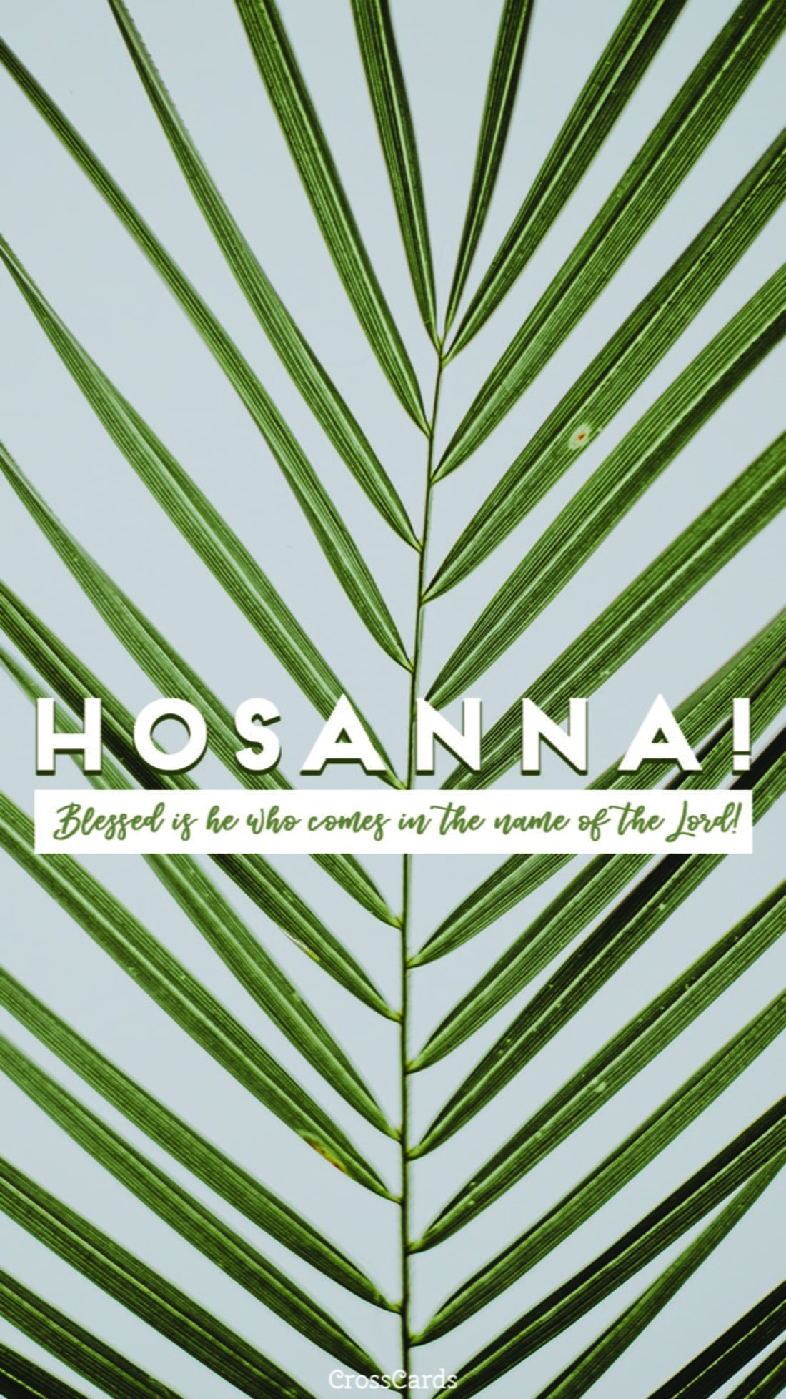 Hosanna mobile phone wallpaper