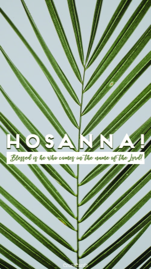 Sow Your Blessing Hosanna In The Highest