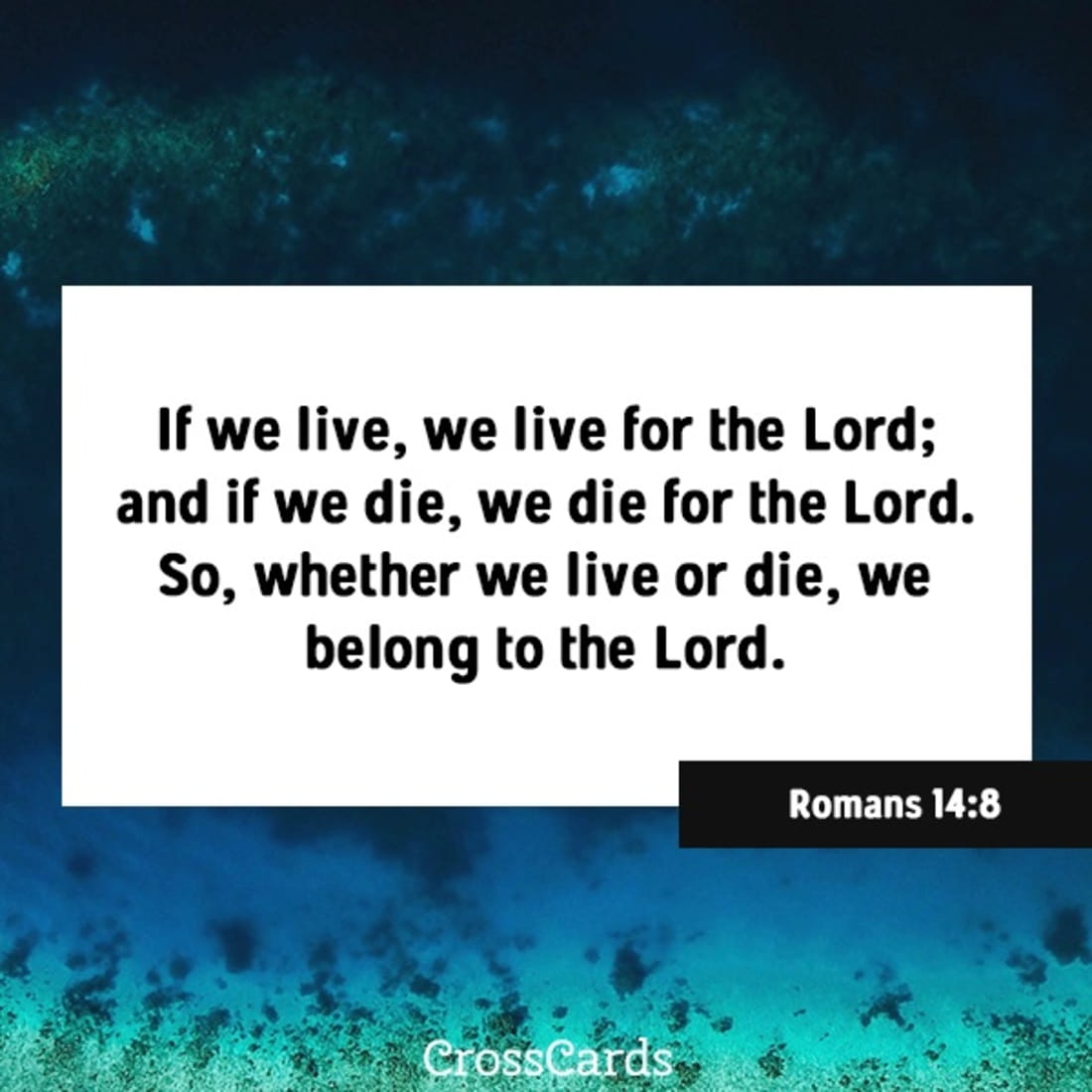 Romans 14:8 ecard, online card