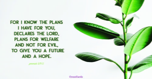 Verwonderlijk Jeremiah 29:11 - For I know the plans I have for you,” declares OO-59