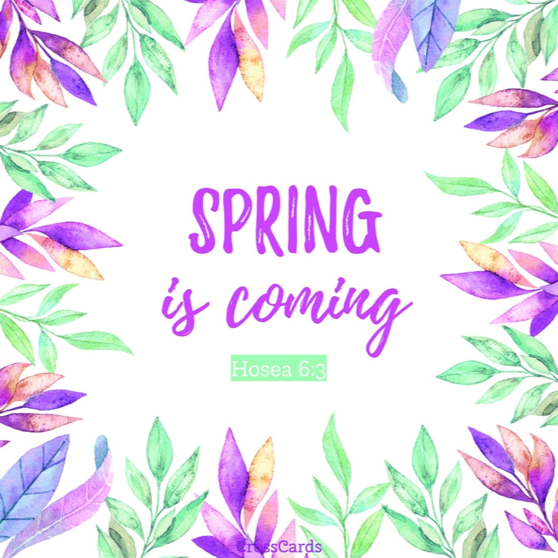 Spring is Coming ecard, online card