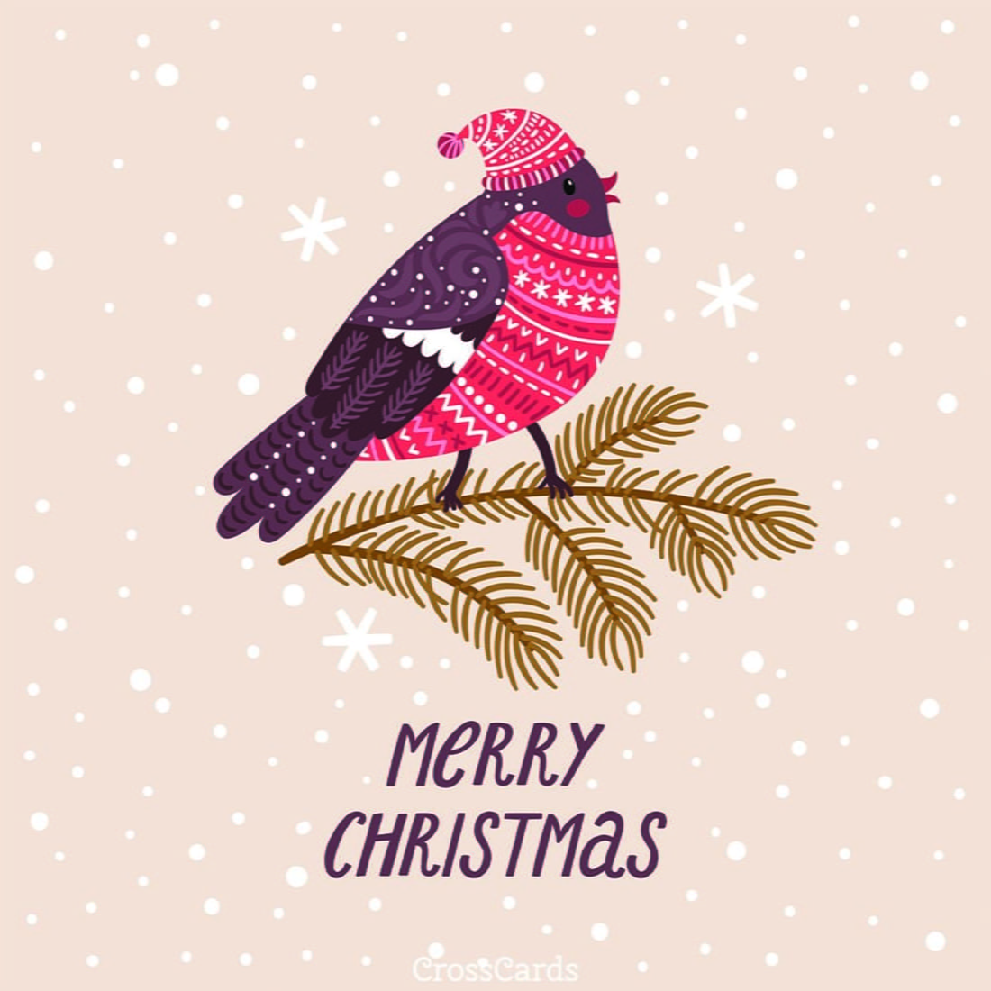 Ecards Free Online Greeting Cards Updated Daily 