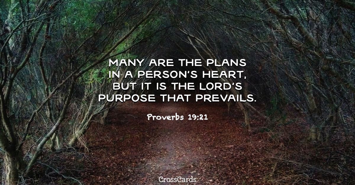 Free Proverbs 19 21 ECard EMail Free Personalized Wisdom Online