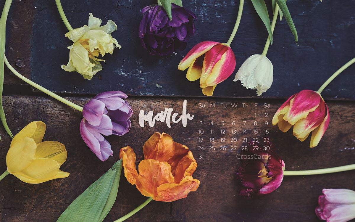 March 2019 - Flowers mobile phone wallpaper