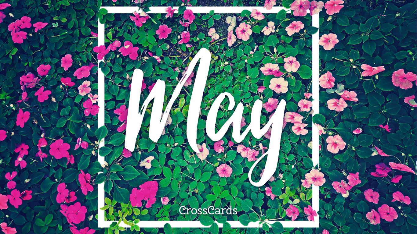 May Wallpapers  Top Free May Backgrounds  WallpaperAccess