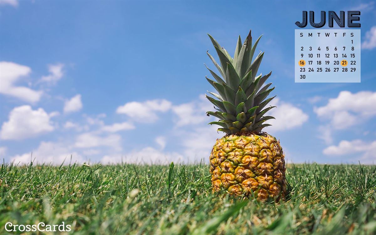 June 2019 - Pineapple mobile phone wallpaper