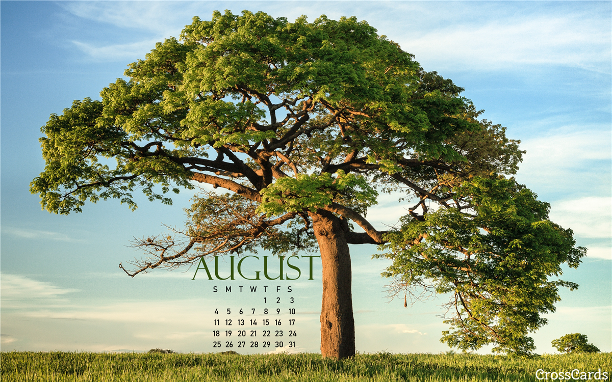 August 2019 - Shade Tree mobile phone wallpaper