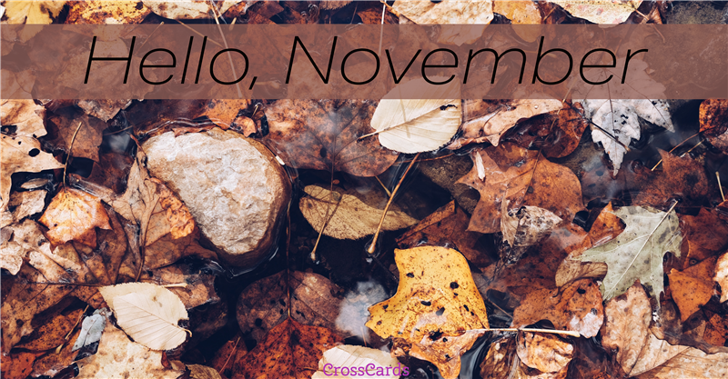 Hello November! 