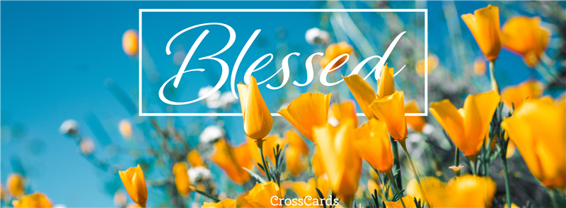 Download I Am So Blessed Christian Facebook Cover Banner