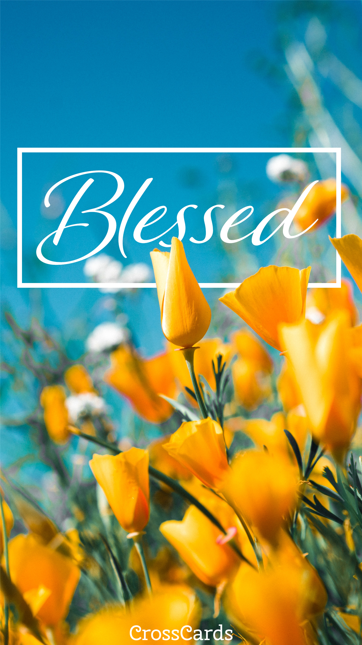 Blessed wallpaper - Phone Wallpaper and Mobile Background