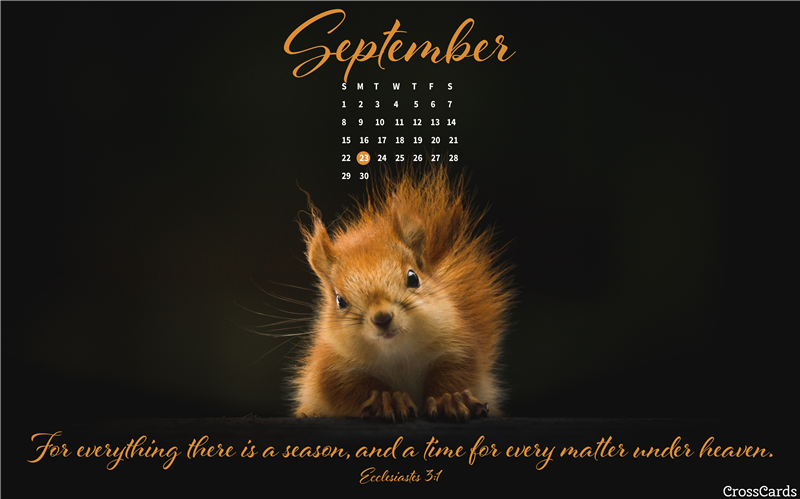 September 2019 For Everything There Is A Season Desktop