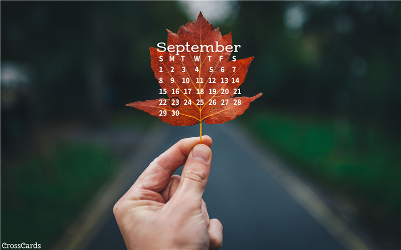 September 2019 Leaf Desktop Calendar Free September