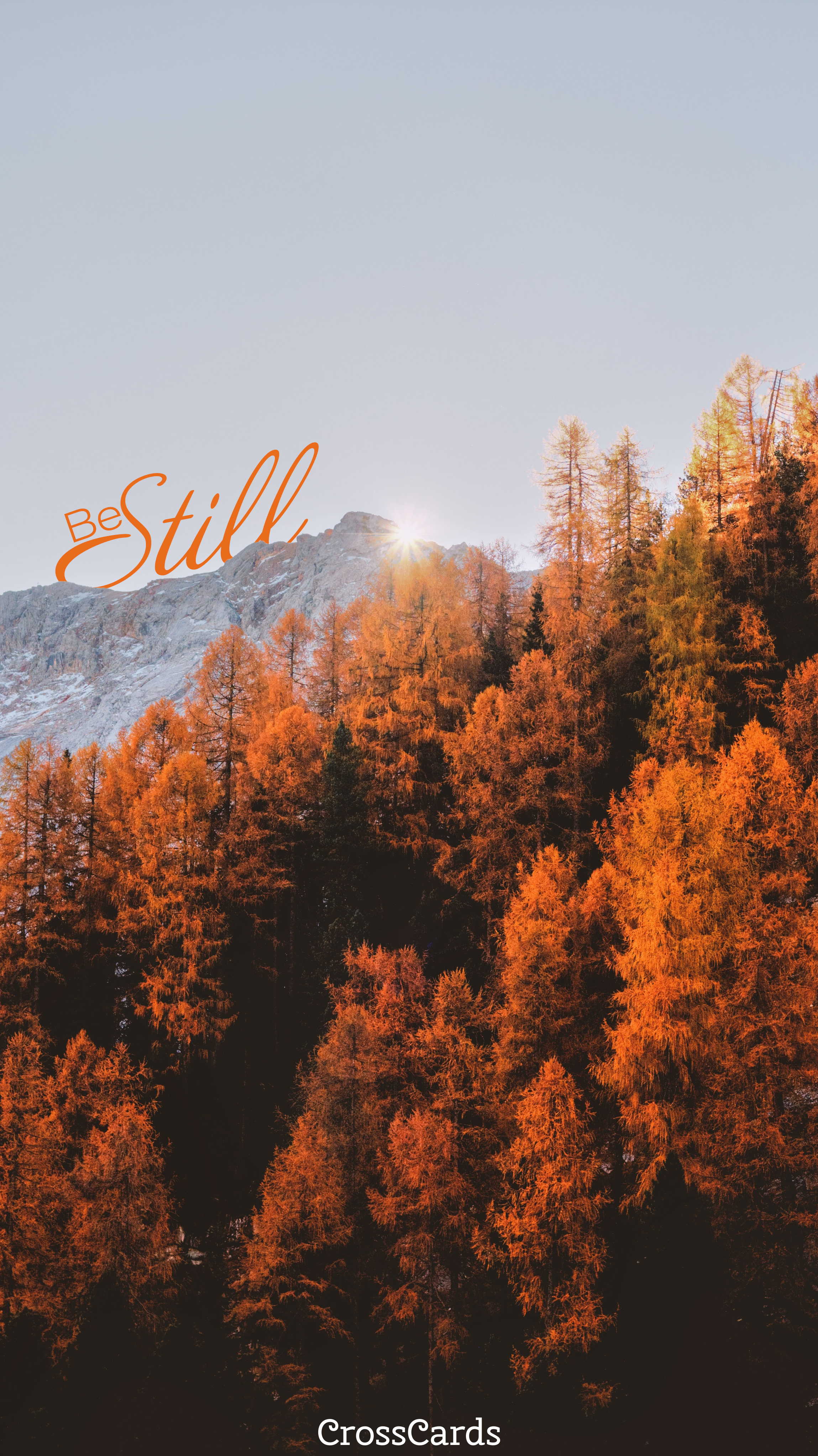 Be Still Fall Leaves - Phone Wallpaper and Mobile Background