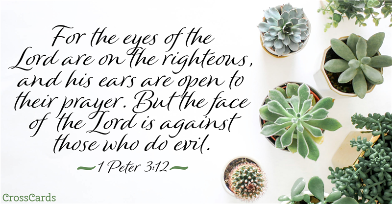 1 Peter 3:12