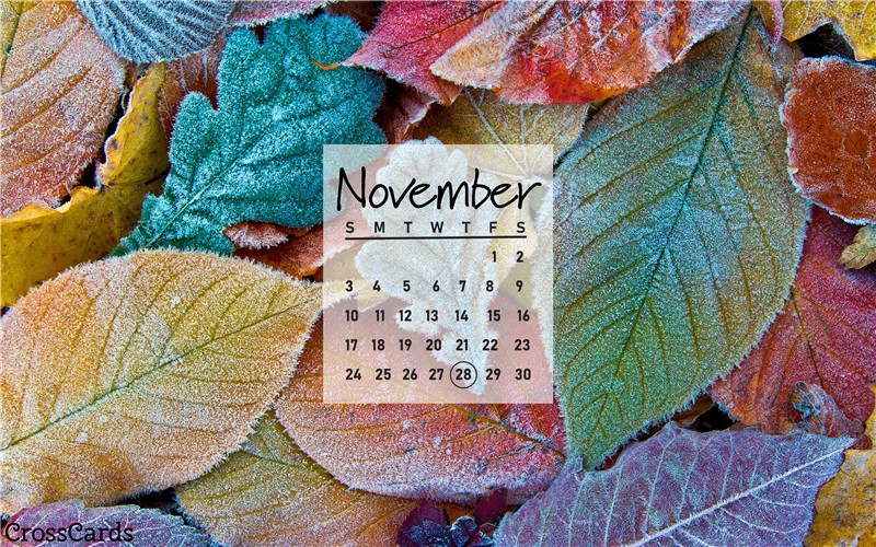 Beautiful November Desktop & Mobile Wallpaper - Free Backgrounds
