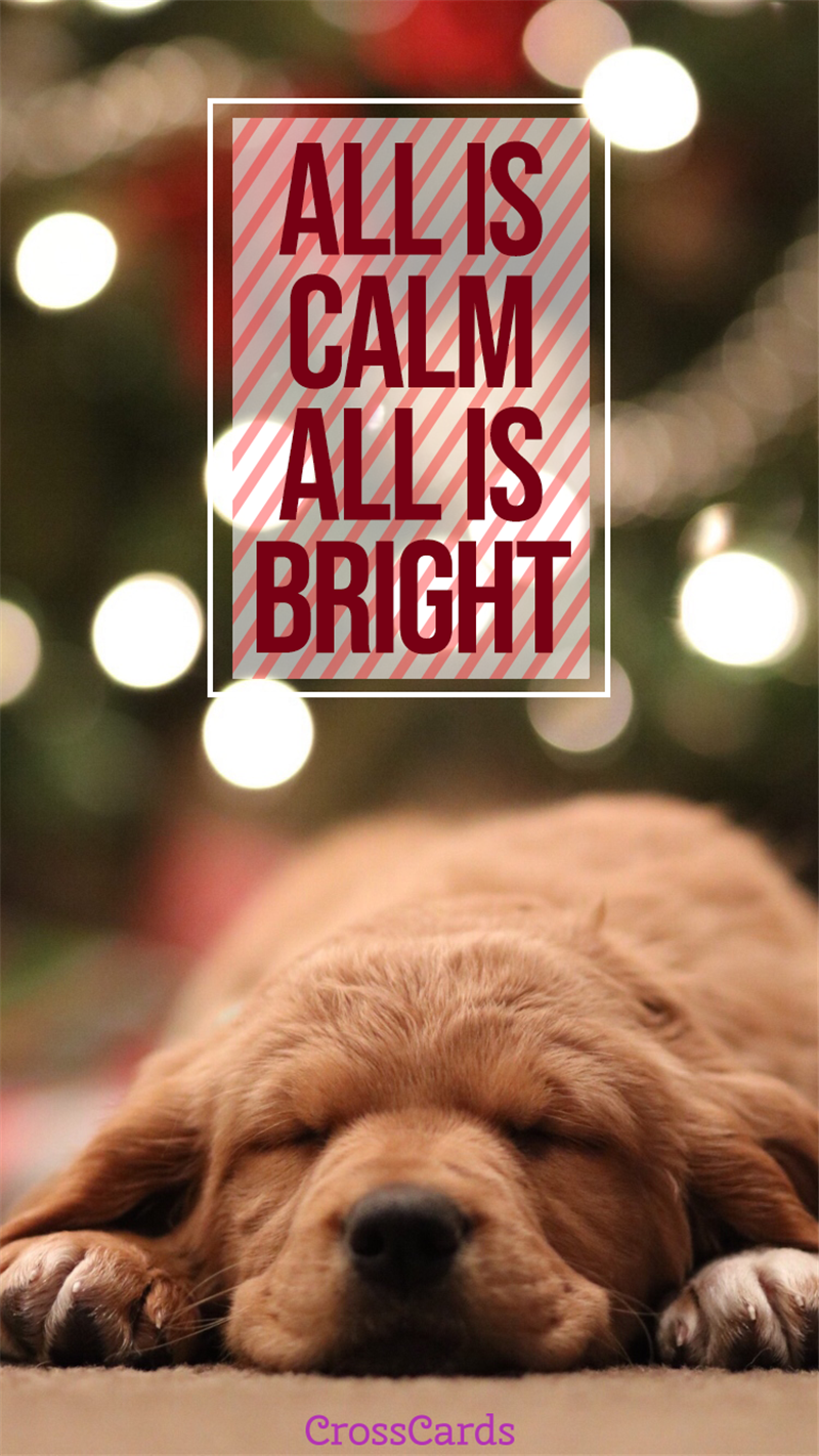 All is Calm, All is Bright - Phone Wallpaper and Mobile Background