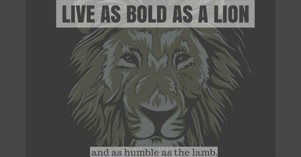 Living As Bold As A Lion Kelly Balarie Christian Blog