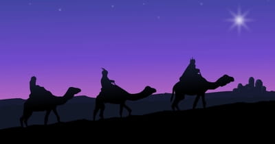 Did the Magi Really See a Star?
