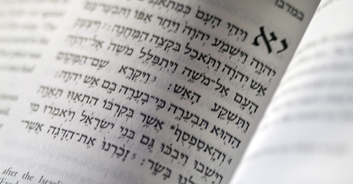 How Was It Decided Which Books Would Be Put in the Bible?