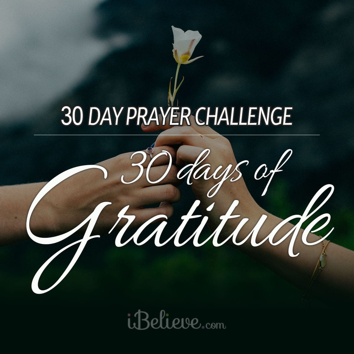 30 Day Prayer Challenge 30 Days Of Gratitude