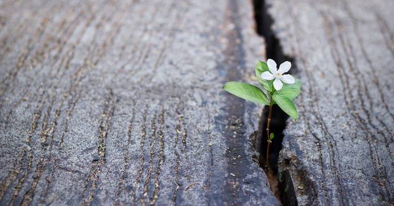 5 Hope Filled Bible Verses Faithtalk Atlanta 970 Atlanta Ga