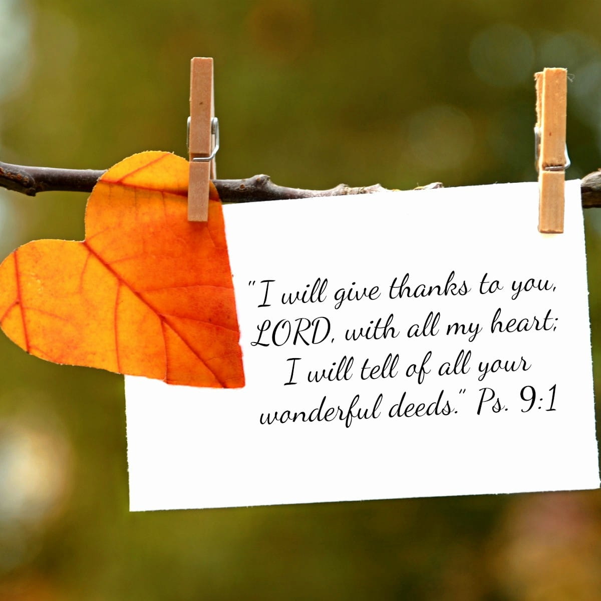 bible verse pray with thanksgiving