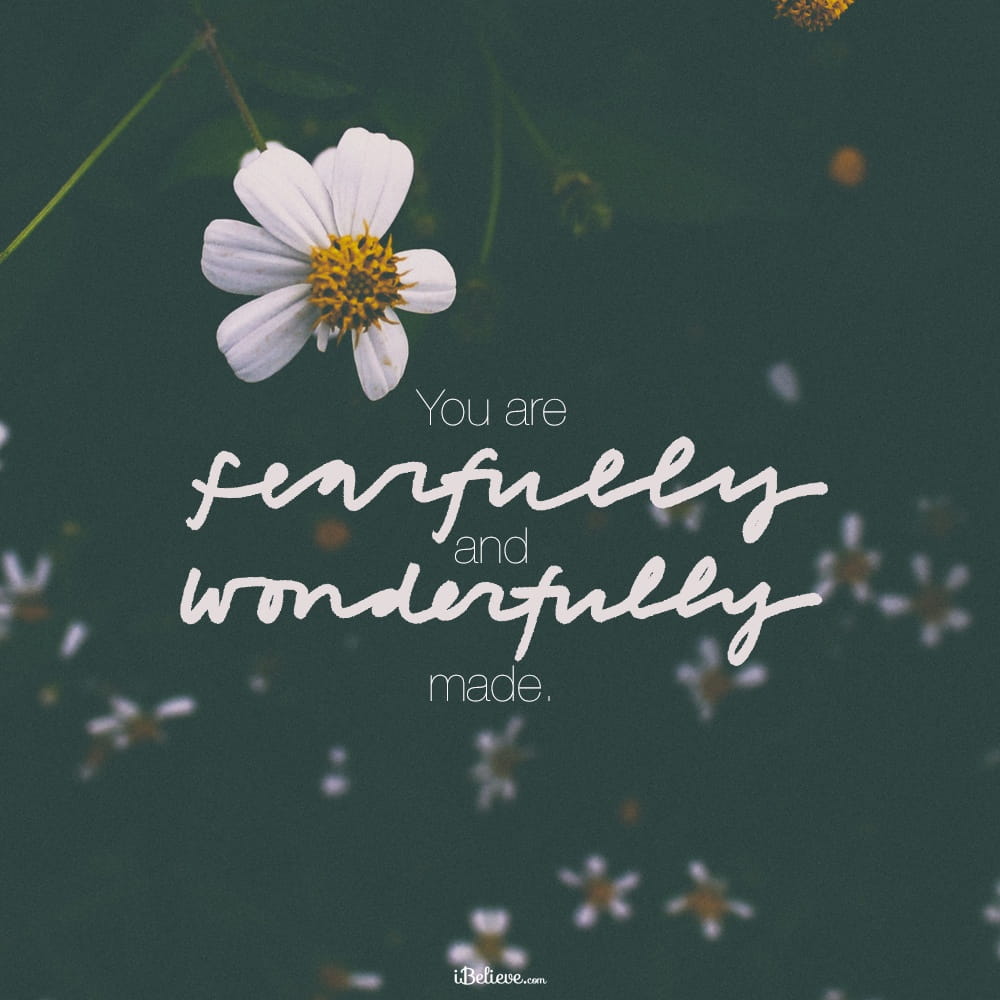 fearfully-wonderfully-made