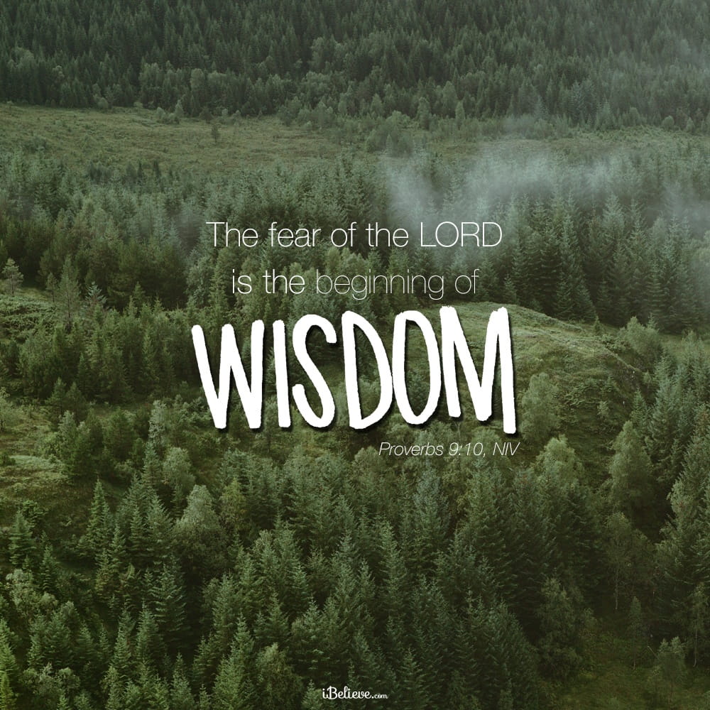 beginning-of-wisdom