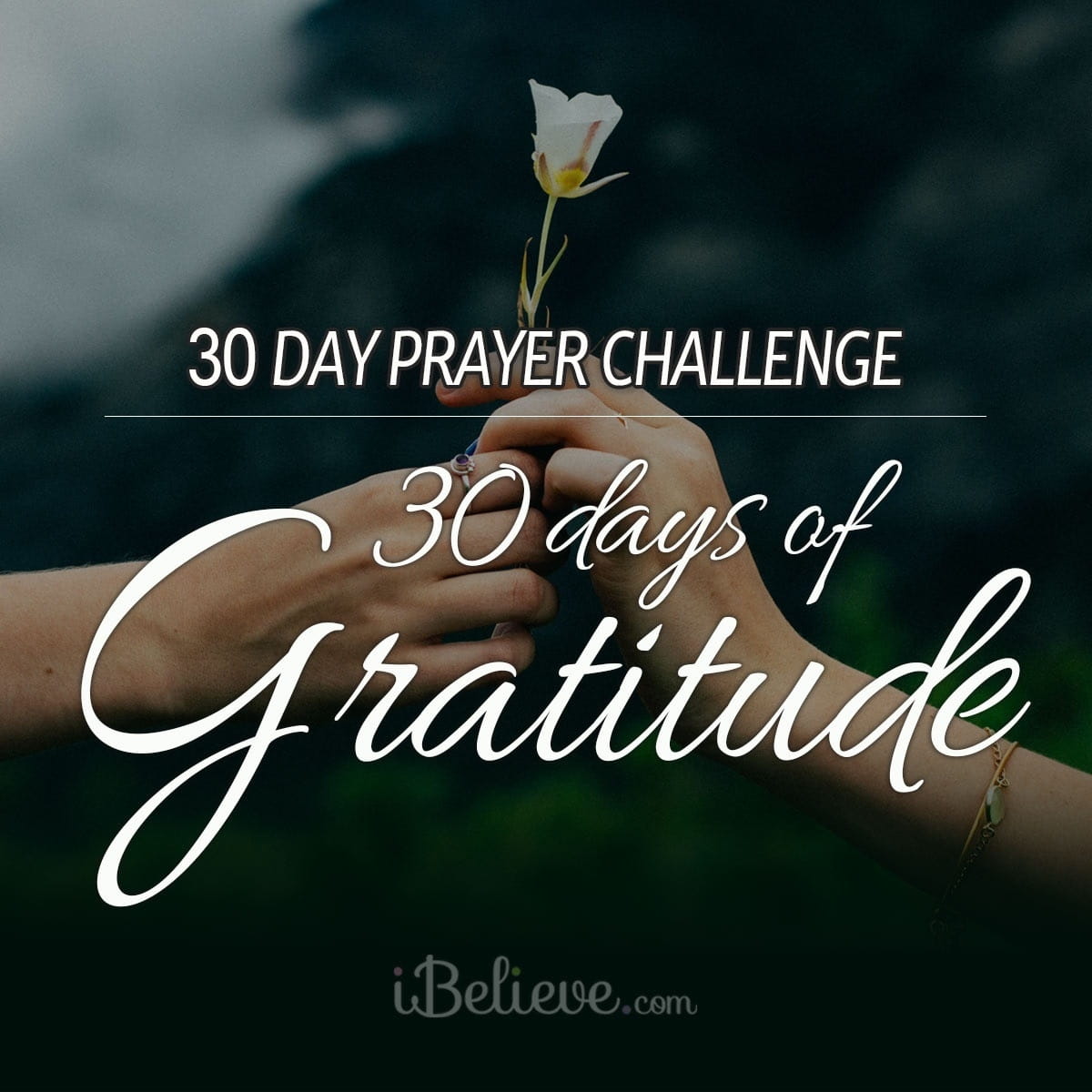 Our 30 Days of Gratitude Prayer Challenge