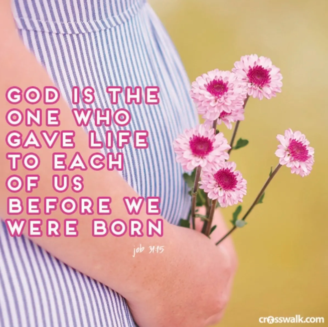 Job 31:5 Bible verse image designed by Rachel Dawson, unborn children