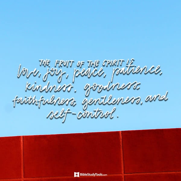 What is the fruit of the Spirit?