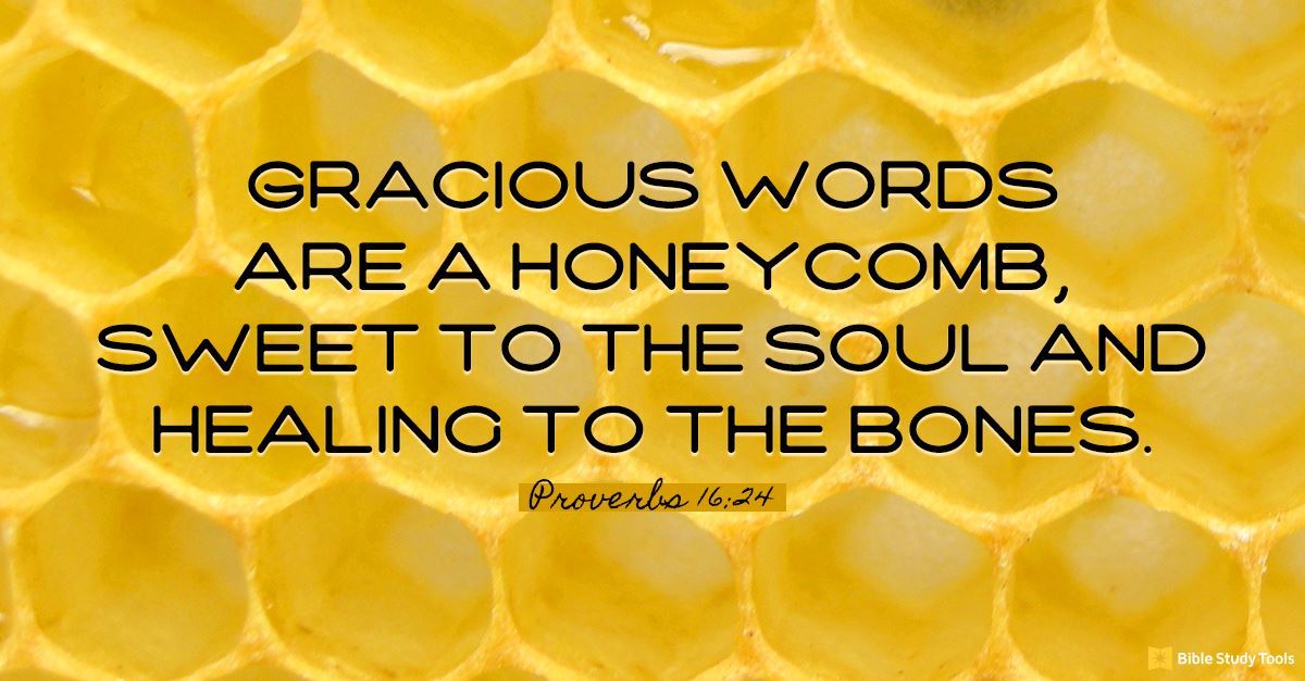 cultivating-a-honeycomb-of-gracious-words-proverbs-16-24-your-daily