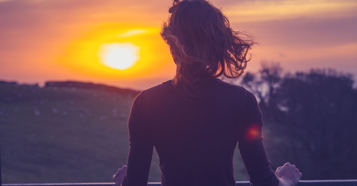 What Is the Human Soul and What Does it Crave?