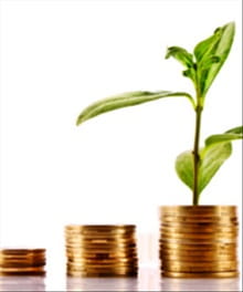The Essentials of Investing