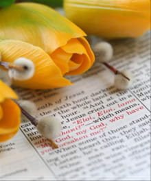 Top 10 Articles of April 2011
