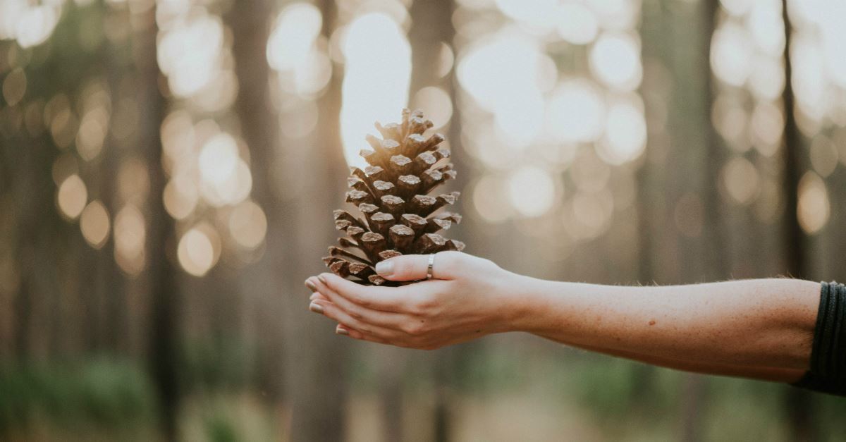 How to Stay Positive When You're Spending the Holidays Alone