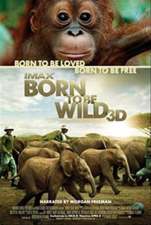Love Takes Center Stage in <i>Born to Be Wild</i>