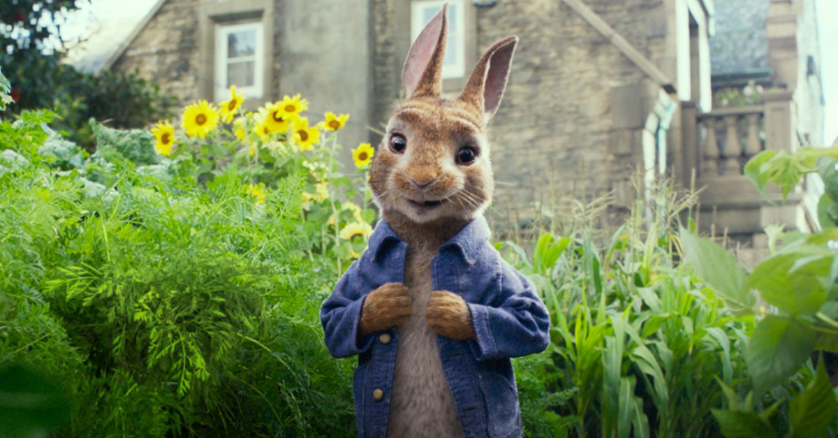 2. Peter Rabbit (PG)